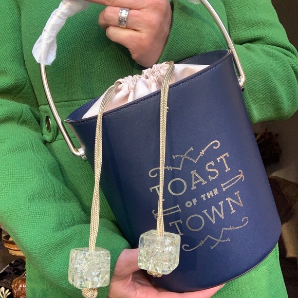 kate spade Handbags - ⛔️SOLD⛔️Authentic KATE SPADE Leather/metal ice bag